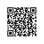 RNC55J4171BSRSL QRCode