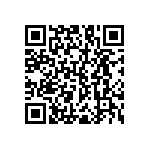 RNC55J4173BSB14 QRCode