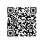 RNC55J4463BSB14 QRCode