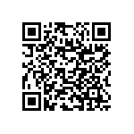 RNC55J4532BSB14 QRCode