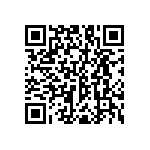 RNC55J4533BSR36 QRCode