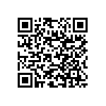 RNC55J5053BSRE6 QRCode