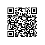 RNC55J5102BSB14 QRCode