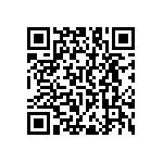 RNC55J52R3FSBSL QRCode