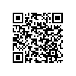 RNC55J6041FSBSL QRCode