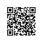 RNC55J6042BSB14 QRCode