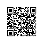 RNC55J6042FSRE6 QRCode