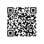 RNC55J8062DRRSL QRCode