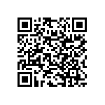 RNC55K1963FSB14 QRCode