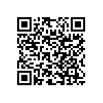 RNC55K3011FSRSL QRCode