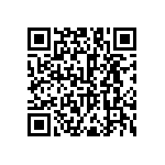 RNC55K3013FSRSL QRCode