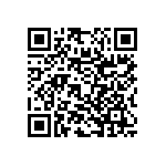 RNC55K33R2FSBSL QRCode