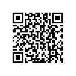 RNC55K53R6FPBSL QRCode