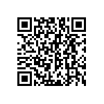 RNC55K9533FPB14 QRCode