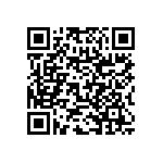 RNC60H3003FSB14 QRCode