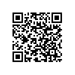 RNC60J1002DSRE6 QRCode