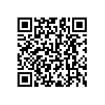 RNC60J3001FSB14 QRCode