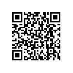 RNCF0201DTE4K02 QRCode