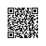 RNCF0402BKE29K4 QRCode