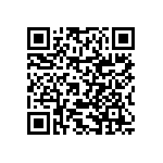 RNCF0402BKE953R QRCode