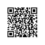 RNCF0402DKE953R QRCode