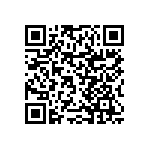 RNCF0402DTC2K87 QRCode