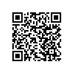 RNCF0402DTE24K3 QRCode