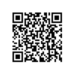 RNCF0402DTE29K4 QRCode