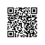 RNCF0402DTE2K80 QRCode