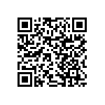 RNCF0402DTE31K6 QRCode