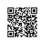 RNCF0402TTT4K12 QRCode