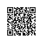 RNCF0603DKE300K QRCode