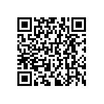 RNCF0603DKE38K3 QRCode