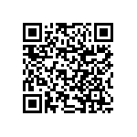 RNCF1206BKE30R1 QRCode