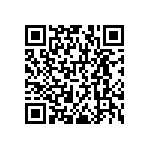 RNCF1206BKE95K3 QRCode