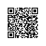 RNCF1206BTC13K2 QRCode