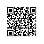 RNCF1206BTC300R QRCode