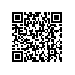 RNCF1206BTC402K QRCode