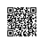 RNCF1206BTC63K4 QRCode