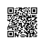 RNCF1206BTE32K4 QRCode