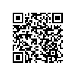 RNCF1206BTE41K2 QRCode