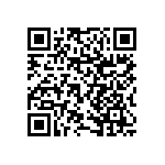 RNCF1206BTE46R4 QRCode