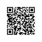 RNCF1206BTE9R53 QRCode