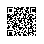 RNCF1206DKE300K QRCode