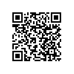 RNCF1206DTC300R QRCode