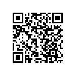 RNCF1206DTE13R0 QRCode