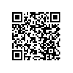 RNCF1206DTE13R3 QRCode