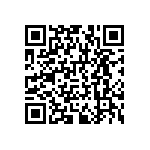 RNCF1206DTE300R QRCode