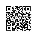 RNCF1206DTE453K QRCode