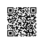 RNCF2512BKE102R QRCode